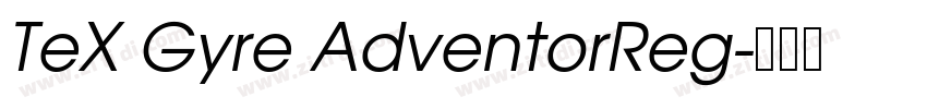 TeX Gyre AdventorReg字体转换